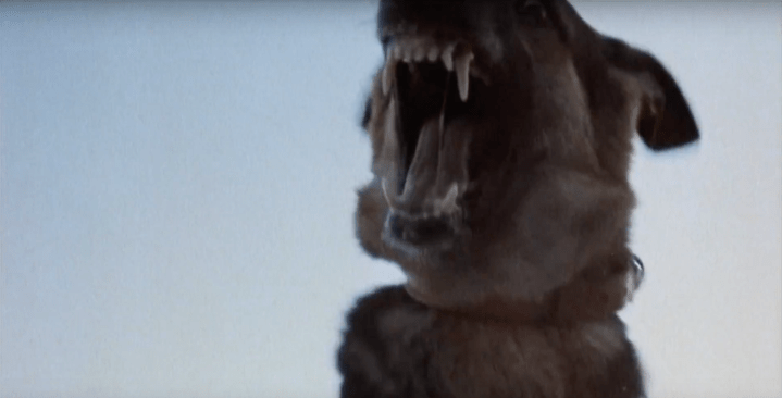 The Beast The Hills Have Eyes 2