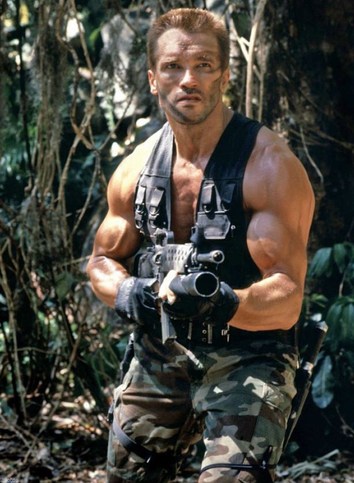 ScreenHub-Movie-Predator Dutch
