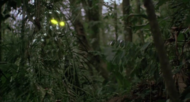ScreenHub-Movie-Predator