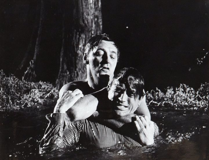 ScreenHub-Movie-Cape Fear