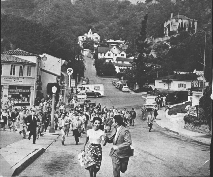 ScreenHub-Movie-Invasion of the Body Snatchers