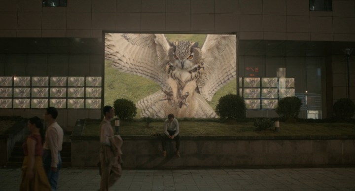 Her Owl.jpg