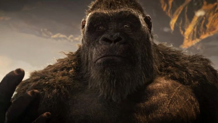 kong in godzilla vs kong screenhub entertainment